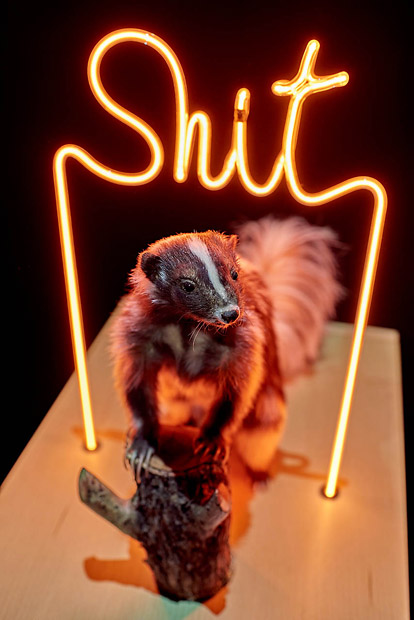 <i>The Stinky Singer/The Sultan Of Tarab</i> - Installation by Raed Yassin [LB]