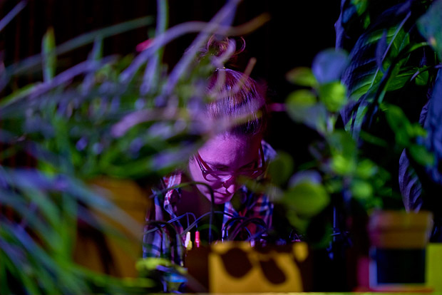 <i>Reading? Solanum melongena (Premiere)</i> - plants and empire (Christina Ertl-Shirley)