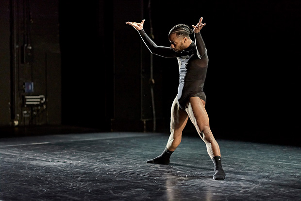 <i>Embryogenesis</i> – Roderick George